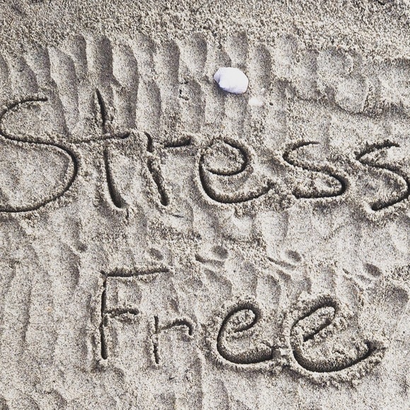 stressfreefinds